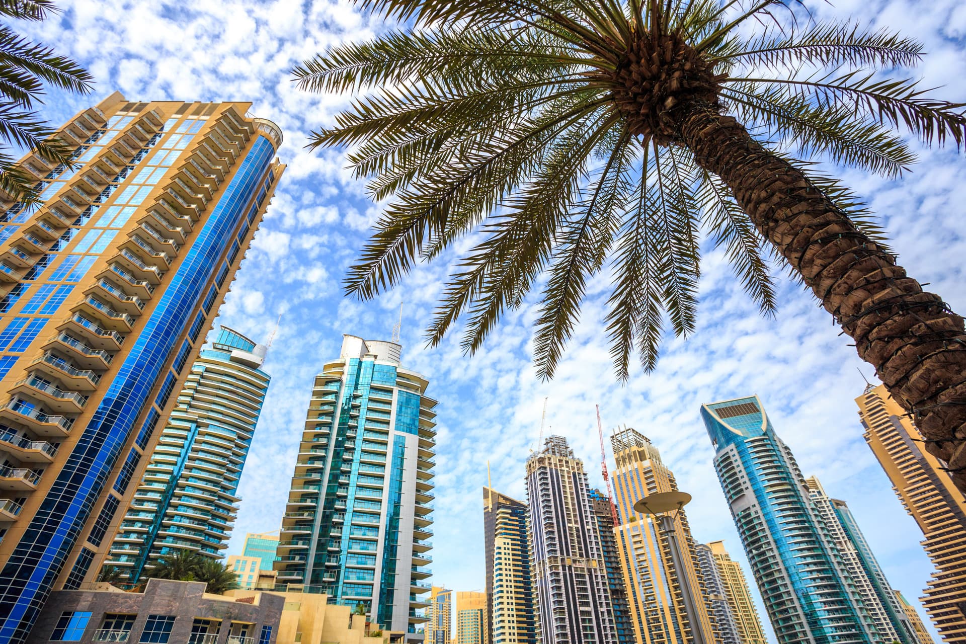 How to Set Up an Engineering Consultancy Company in Abu Dhabi